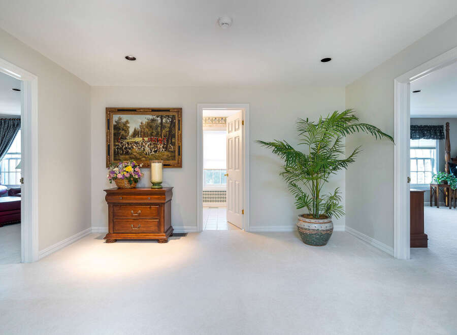 Elegant hallway with plush carpeting, showcasing a charming wooden dresser and a vibrant potted plant.