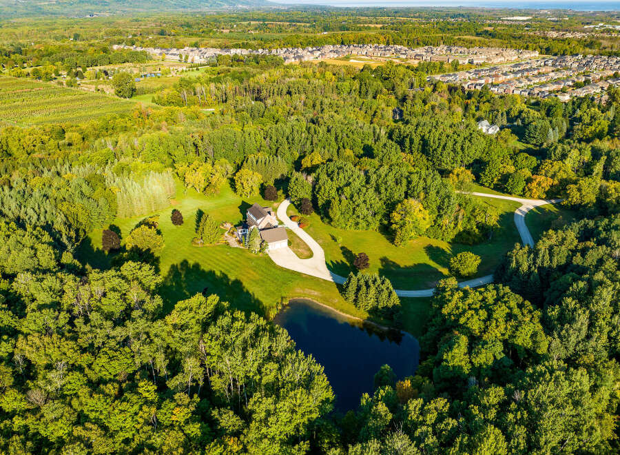 Nestled in a serene forest setting, this expansive property boasts a charming house with a spacious driveway.