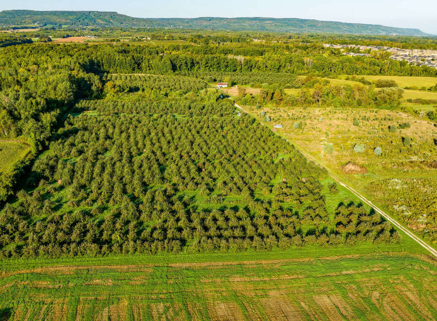 This stunning aerial view showcases a picturesque property featuring a vast apple orchard, surrounded by lush green fields and a tranquil forest.
