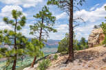 Majestic mountain vista with three pine trees in the foreground.