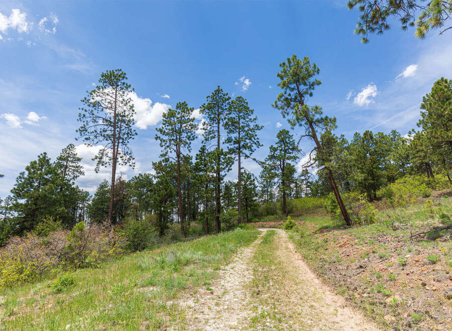 Discover tranquility on this scenic property, boasting a serene trail winding through a picturesque landscape of towering pines and vibrant meadows.