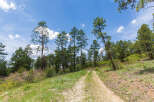 Discover tranquility on this scenic property, boasting a serene trail winding through a picturesque landscape of towering pines and vibrant meadows.