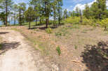 Discover tranquility on this expansive lot nestled in a serene forest setting.
