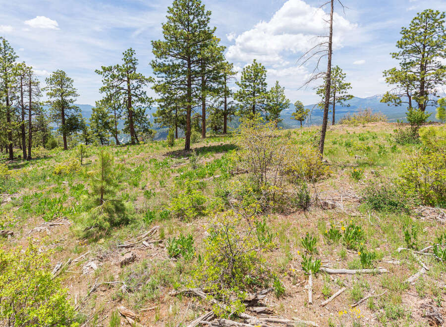 Discover tranquility in this picturesque mountain property, boasting stunning views and a serene landscape.