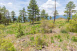 Discover tranquility in this picturesque mountain property, boasting stunning views and a serene landscape.