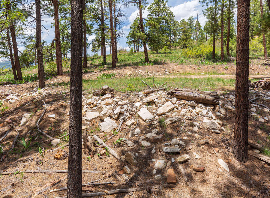 This property features a unique landscape with a scattering of rocks and remnants of a structure, possibly an old building or ruin, nestled among tall pine trees.