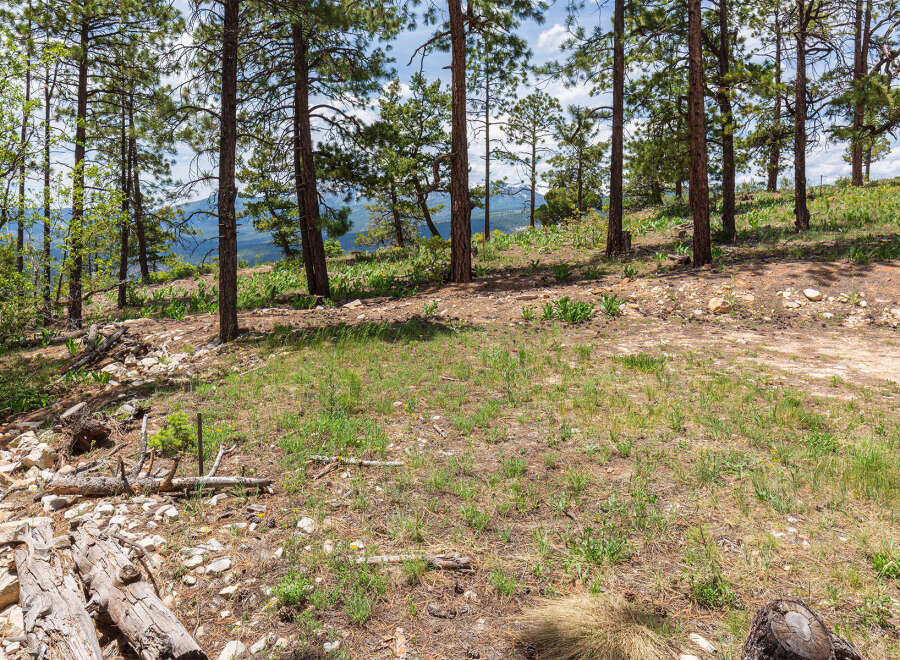 Discover tranquility in this picturesque property nestled amidst towering pines.