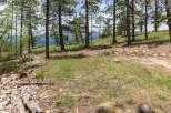 Discover tranquility in this picturesque property nestled amidst towering pines.