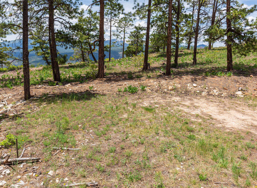 Discover tranquility on this scenic lot, nestled among towering pines and boasting breathtaking mountain views.