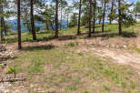 Discover tranquility on this scenic lot, nestled among towering pines and boasting breathtaking mountain views.