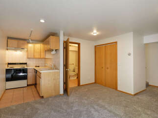 Cozy basement apartment with a kitchenette, full bathroom, and ample closet space.