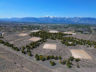 Discover the perfect blend of natural beauty and modern living in this stunning new development.
