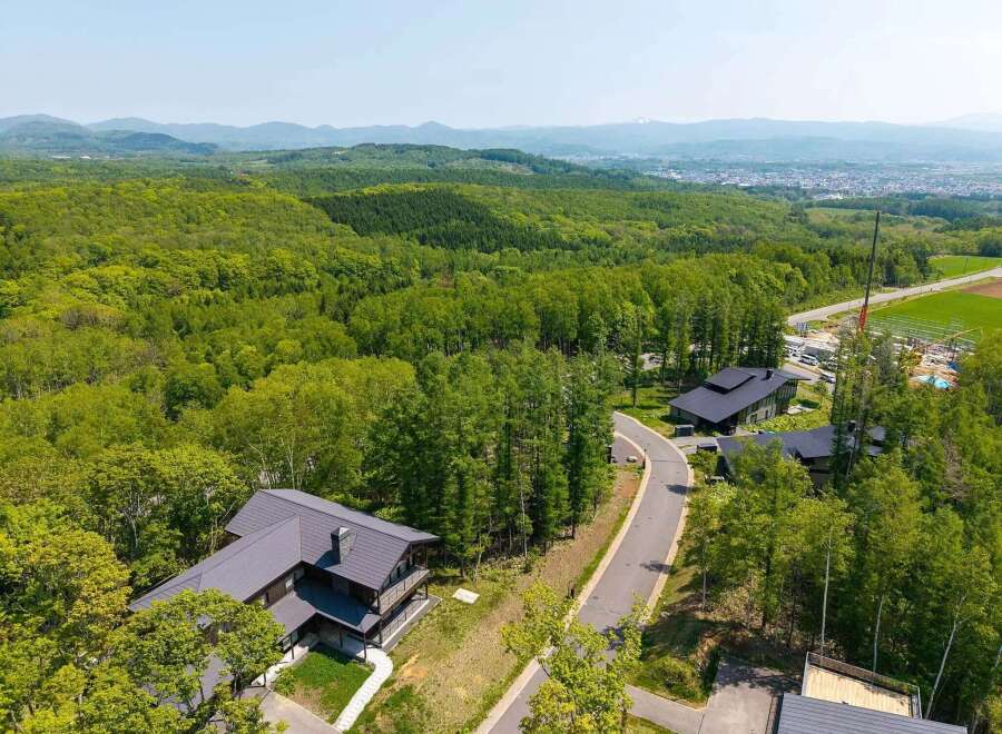 Luxury homes nestled in a serene forest setting, offering breathtaking mountain views.