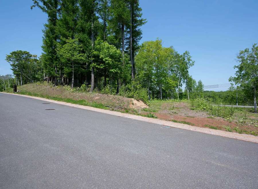 Discover this serene lot nestled amidst lush greenery and towering trees, offering breathtaking views of the surrounding landscape.