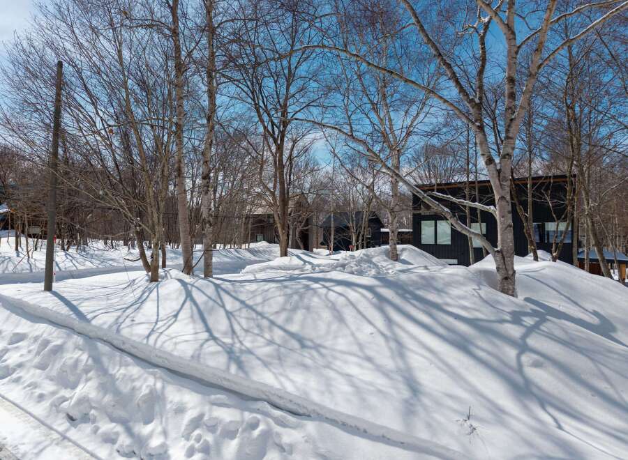 Stunning winter landscape showcasing a modern, dark-colored house nestled amongst snow-covered trees.