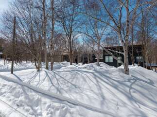 Stunning winter landscape showcasing a modern, dark-colored house nestled amongst snow-covered trees.