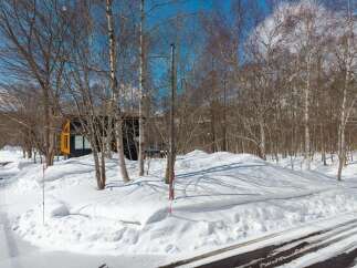 This stunning winter landscape features a modern cabin nestled amongst snow-covered trees.