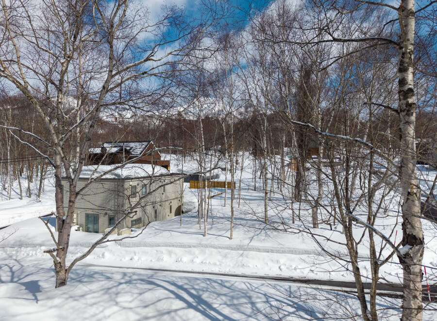 This stunning winter landscape features a charming two-story house nestled amongst snow-covered trees.