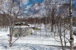 This stunning winter landscape features a charming two-story house nestled amongst snow-covered trees.