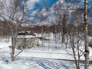 This stunning winter landscape features a charming two-story house nestled amongst snow-covered trees.