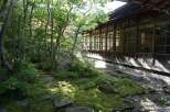 Discover serenity in this meticulously landscaped Japanese garden, featuring a moss-covered path, ancient stones, and lush greenery.