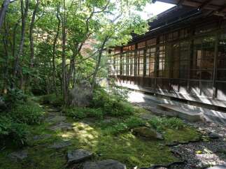 Discover serenity in this meticulously landscaped Japanese garden, featuring a moss-covered path, ancient stones, and lush greenery.