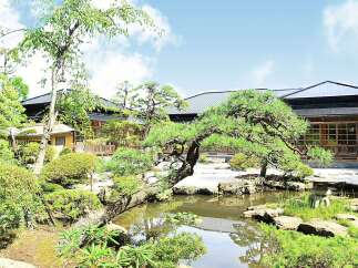 Discover serenity in this Japanese garden, featuring a tranquil pond, meticulously manicured landscaping, and traditional wooden buildings.