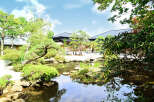 Discover serenity in this Japanese garden, featuring a tranquil pond reflecting the surrounding lush greenery and traditional architecture.