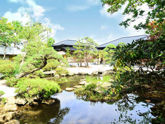 Discover serenity in this Japanese garden, featuring a tranquil pond reflecting the surrounding lush greenery and traditional architecture.
