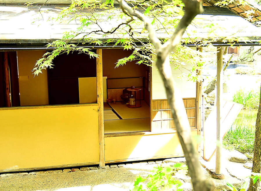 Nestled amidst lush greenery, this charming Japanese-style house offers a serene escape.