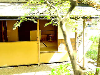 Nestled amidst lush greenery, this charming Japanese-style house offers a serene escape.