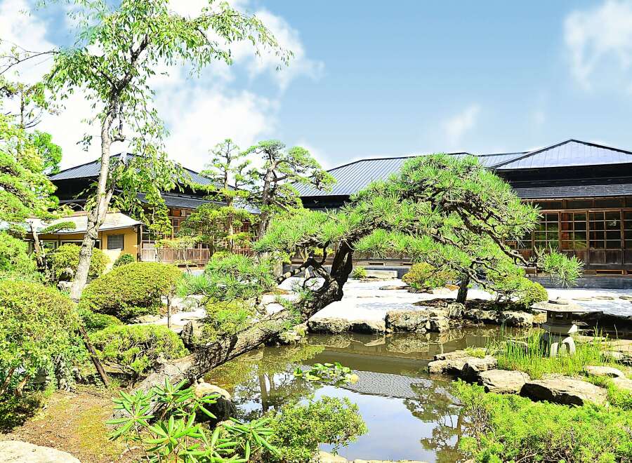 Discover serenity in this Japanese garden, featuring a tranquil pond, meticulously manicured landscaping, and traditional wooden buildings.