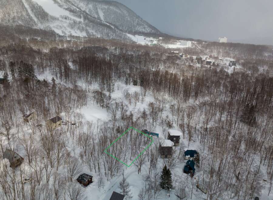 Mountain view lot in a snowy forest setting.