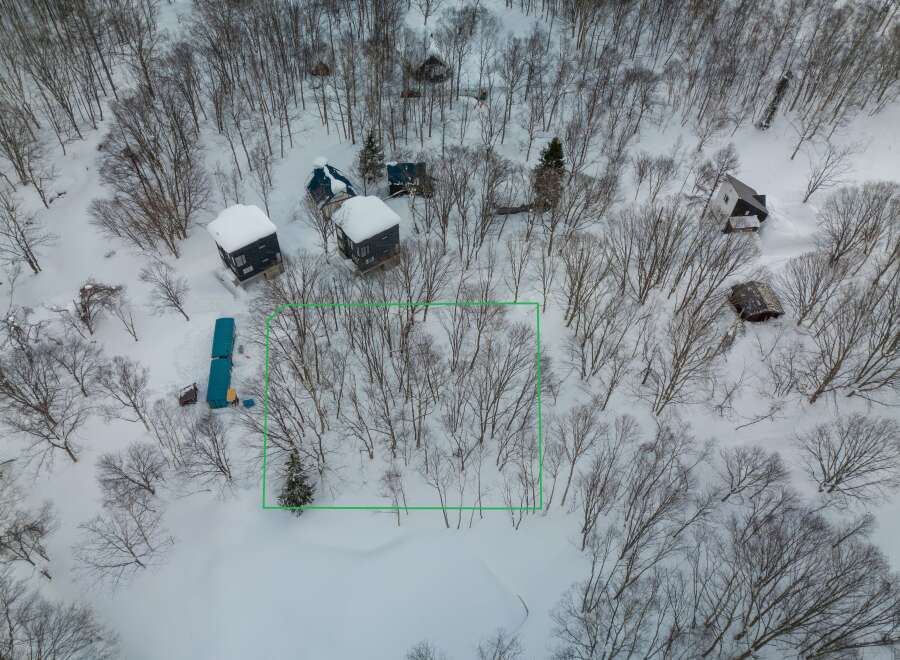 This secluded snowy property features a cluster of cozy cabins nestled amongst a stand of snow-covered trees.