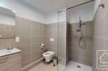 Modern bathroom with walk-in shower, stylish vanity, and toilet.