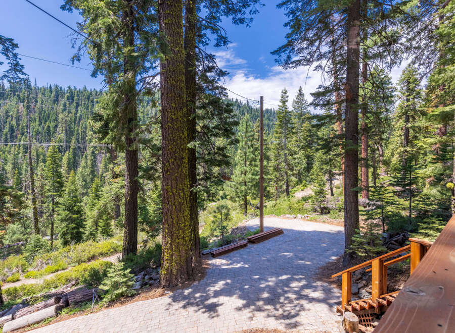 This stunning property boasts a large paved patio perfect for outdoor entertaining, nestled amongst towering pine trees.
