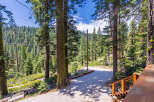 This stunning property boasts a large paved patio perfect for outdoor entertaining, nestled amongst towering pine trees.