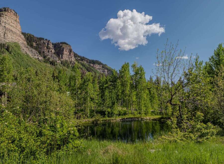 Mountaintop retreat with pond and lush greenery.
