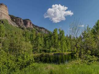 Mountaintop retreat with pond and lush greenery.