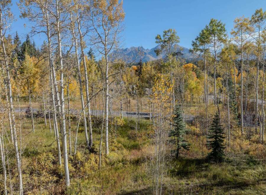 Discover the beauty of nature with this stunning property.