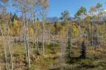 Discover the beauty of nature with this stunning property.