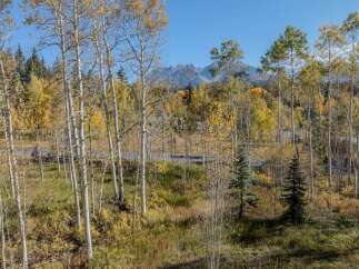 Discover the beauty of nature with this stunning property.
