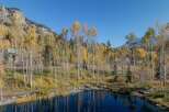 Discover a stunning property surrounded by the beauty of nature.