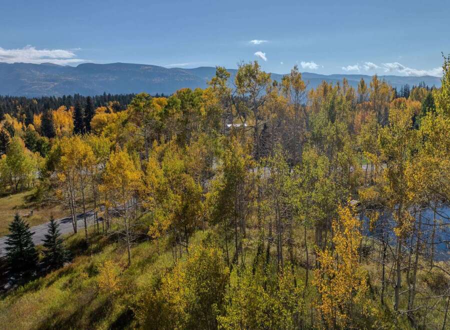 Discover the beauty of nature with this stunning property, surrounded by vibrant fall foliage.