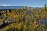Discover the beauty of nature with this stunning property, surrounded by vibrant fall foliage.