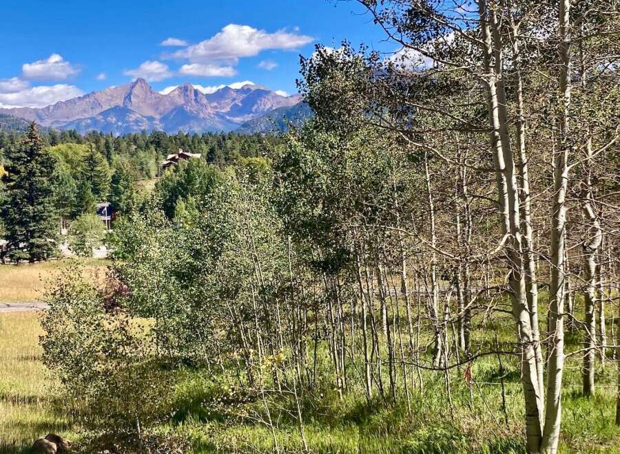 Discover the beauty of this stunning property with breathtaking mountain views.