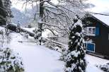 Nestled in a serene winter wonderland, this charming property boasts a picturesque setting.