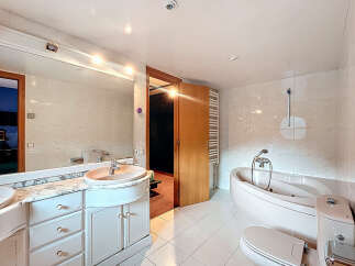 Discover a luxurious bathroom with a modern design.