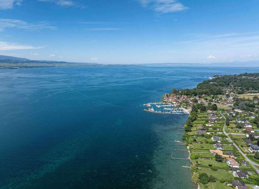 Discover waterfront properties with stunning views of the crystal-clear lake and lush greenery.