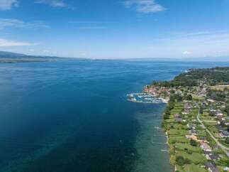 Discover waterfront properties with stunning views of the crystal-clear lake and lush greenery.